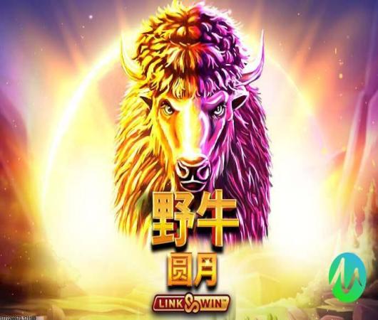 战舰世界闪击战